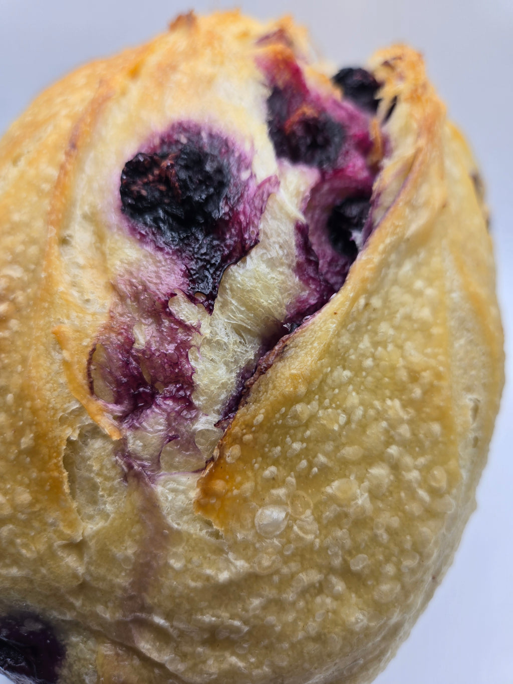 Lemon Blueberry Sourdough Bread