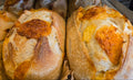Cheddar Gouda Sourdough Bread