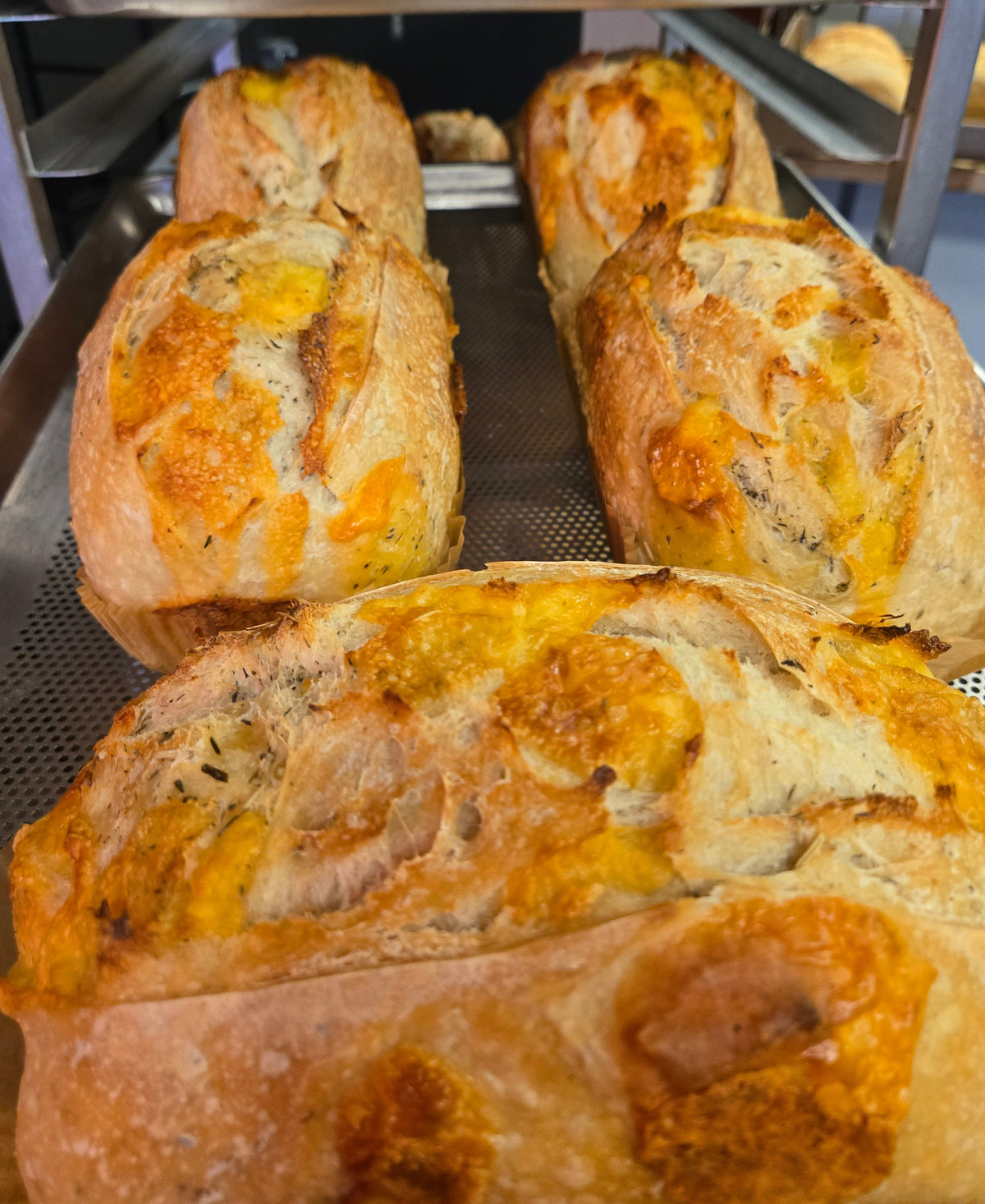Gouda, Rosemary and Thyme Sourdough Bread