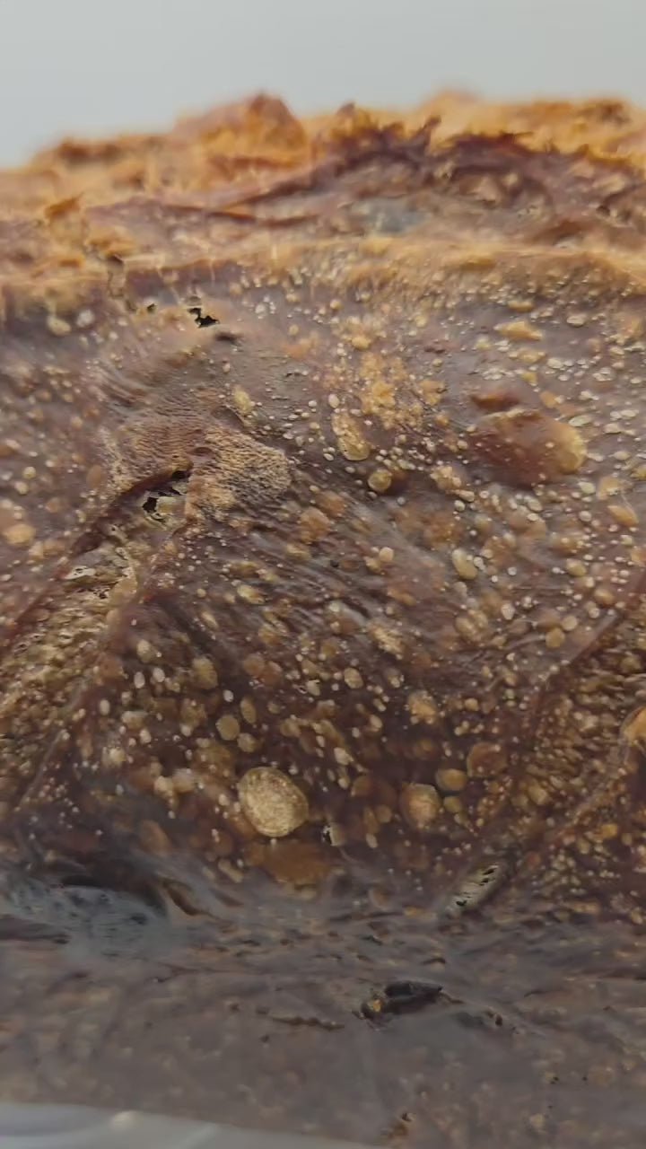 Peanut Butter Chip x Double Chocolate Sourdough Bread