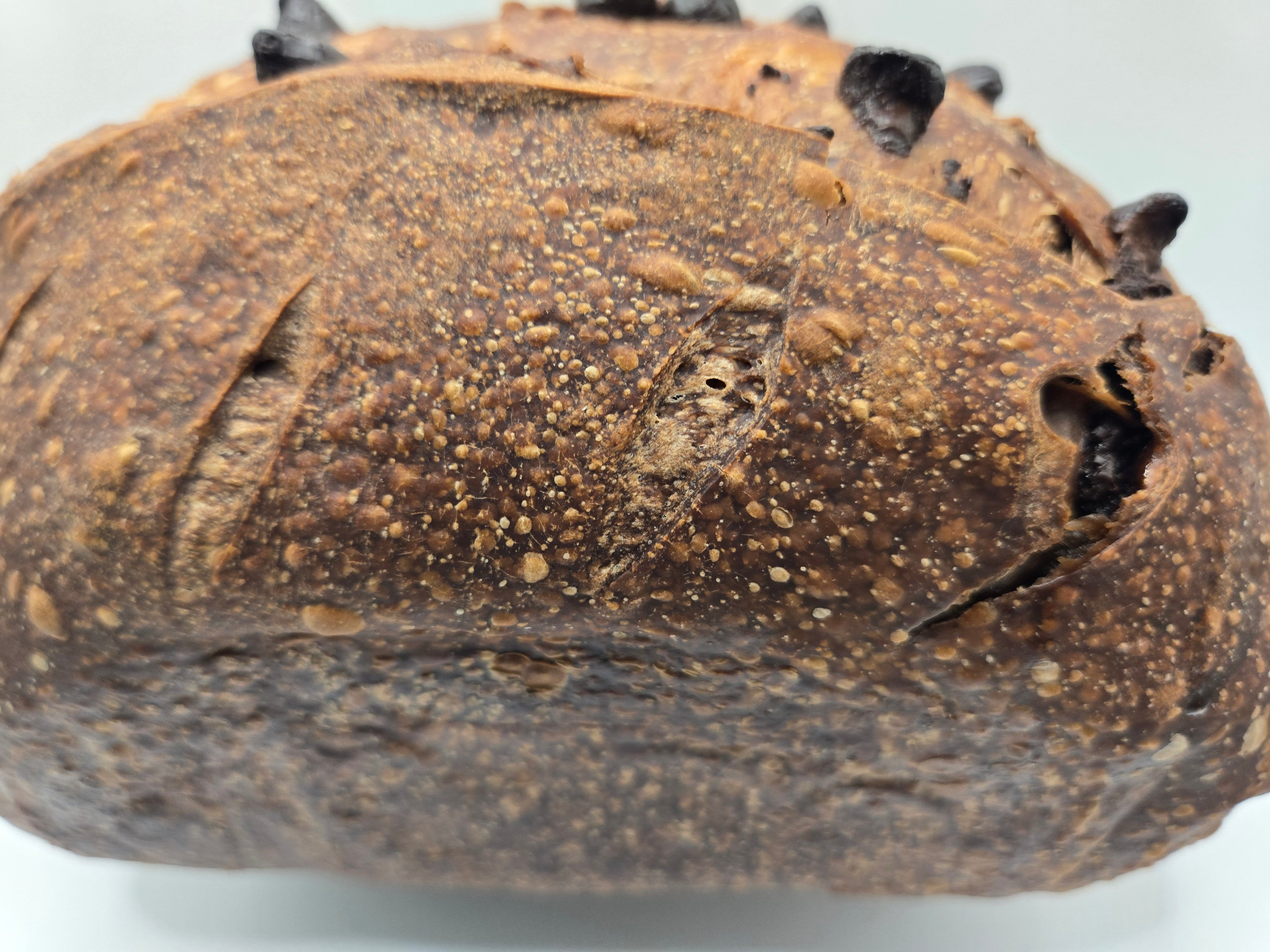 Cherry Double Chocolate Sourdough Bread