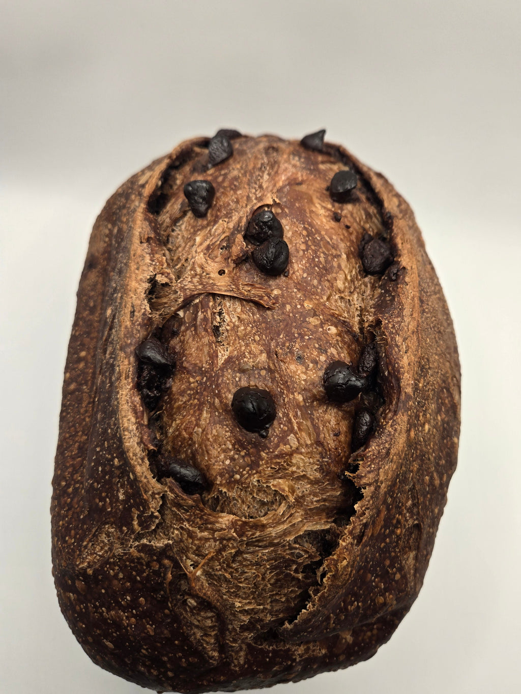Double Chocolate Sourdough Bread